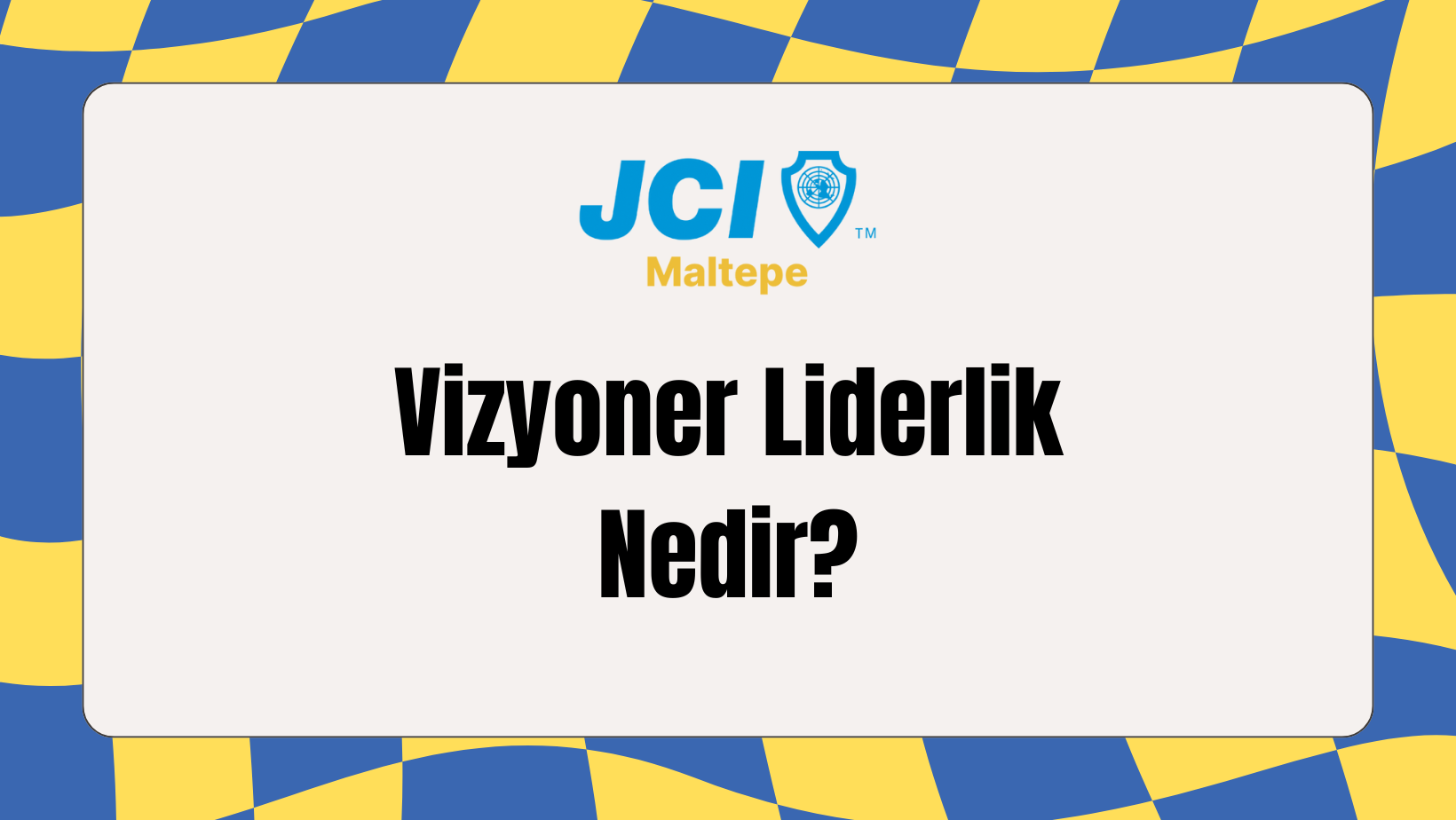 vizyoner liderlik nedir jci maltepe